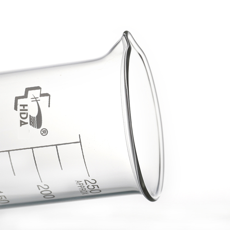 Glass Beaker with Spout